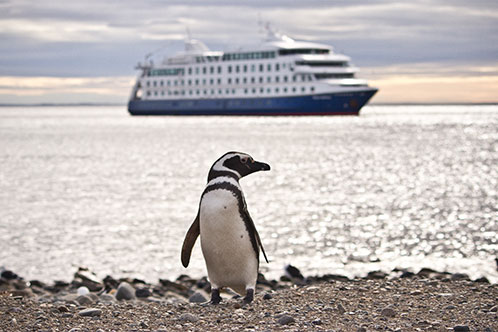 Medio Ambiente de Australis. SoloCruceros.com