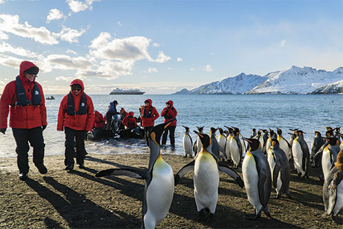 Silversea Expeditions. SoloCruceros.com