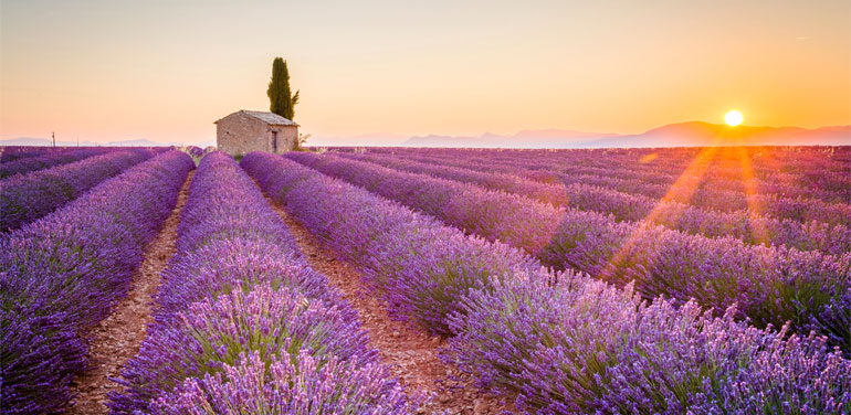 Cruceros Lujo Primavera. CrucerosLujo.travel Cruceros Lujo Primavera. CrucerosLujo.travel