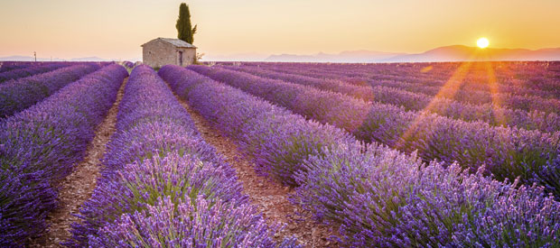 Cruceros por el Mediterráneo desde Marsella, Francia. CrucerosLujo.travel Cruceros por el Mediterráneo desde Marsella, Francia. CrucerosLujo.travel
